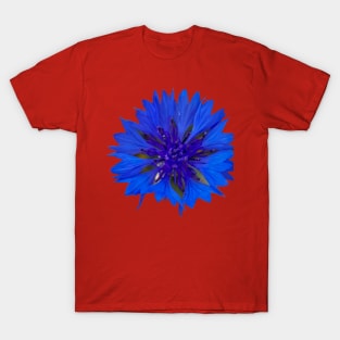 Cornflower Royal Blue Flower T-Shirt